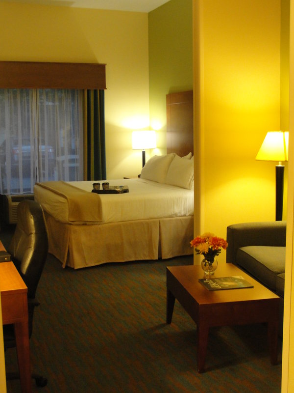 Holiday Inn Express & Suites ATLANTA EAST - LITHONIA - Dunwoody, GA