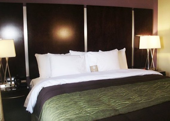 Comfort Inn & Suites - Lafayette, LA