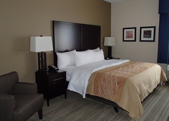 Comfort Inn - Suwanee, GA