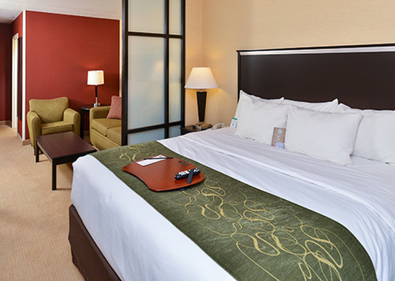 Comfort Suites-Airport - Helena, MT