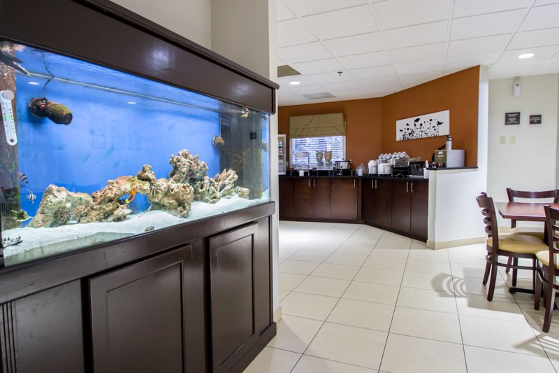 Sleep Inn - Ormond Beach, FL