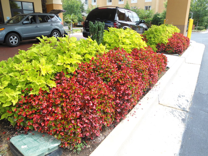 Holiday Inn Express & Suites ATLANTA EAST - LITHONIA - Dunwoody, GA