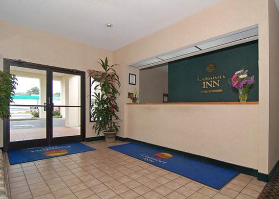 Comfort Inn Canton - Canton, NC