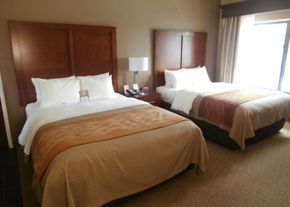 Comfort Inn & Suites - Naples, FL
