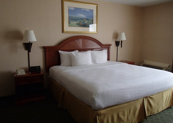 Holiday Inn Cartersville - White, GA