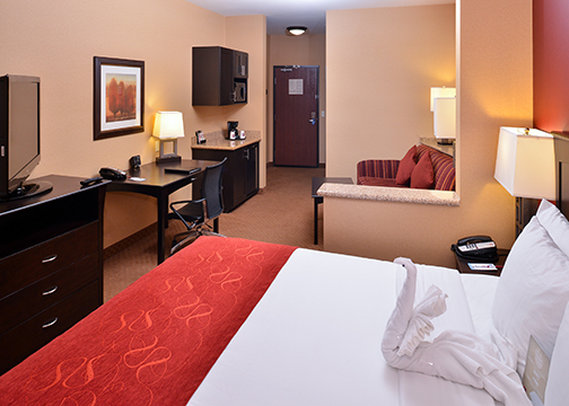 Comfort Suites Ontario Convention Center - Ontario, CA