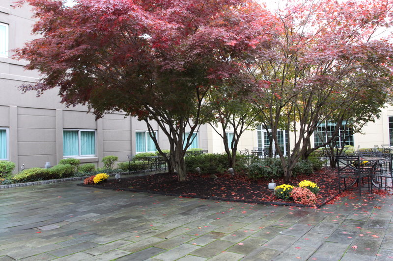 Holiday Inn BUDD LAKE - ROCKAWAY AREA - Mount Tabor, NJ