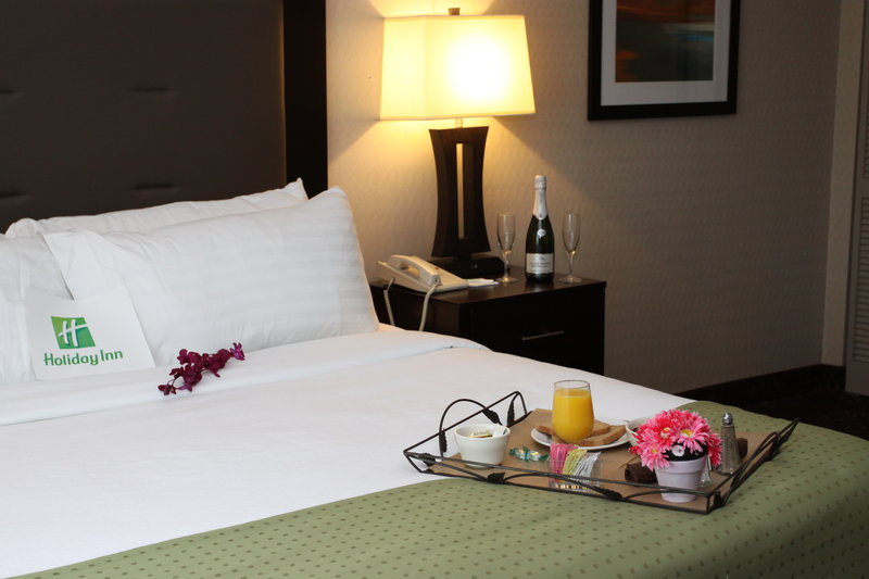 Holiday Inn BUDD LAKE - ROCKAWAY AREA - Mount Tabor, NJ