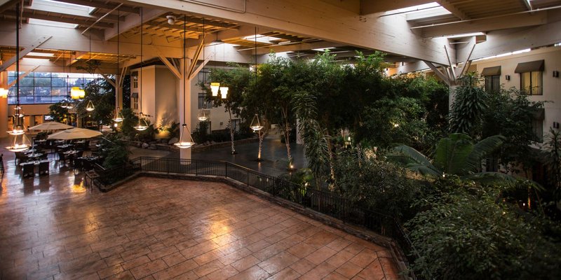 Vineyards Chop House-Crowne Plaza Hotel Concord - Concord, CA