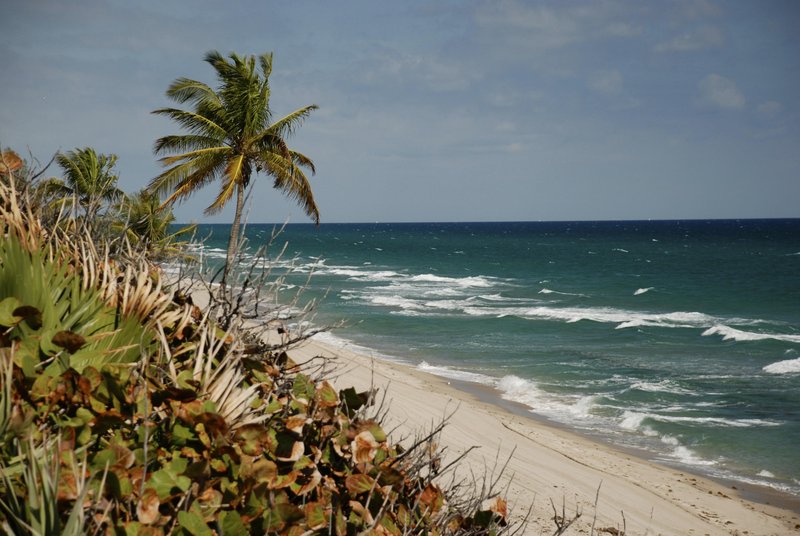 Fort Lauderdale Grande And Yacht Club - Fort Lauderdale, FL