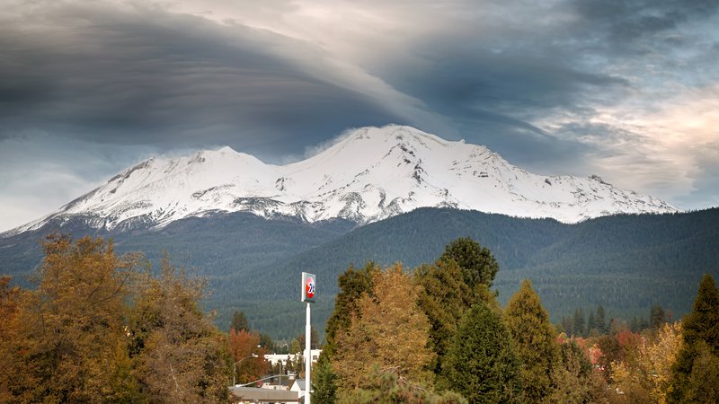 Best Western Plus Tree House - Mount Shasta, CA