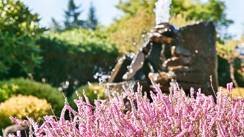Best Western Salbasgeon Inn & Suites Of Reeds - Reedsport, OR