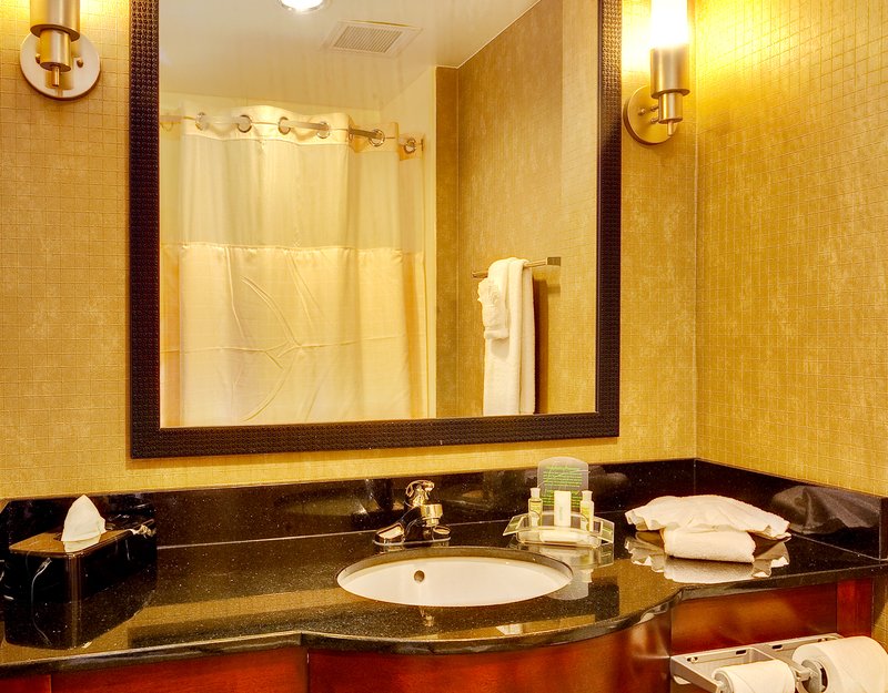 Holiday Inn SOUTHAVEN CENTRAL - MEMPHIS - Walls, MS