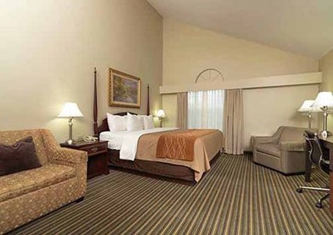Comfort Inn-Plainwell - Plainwell, MI