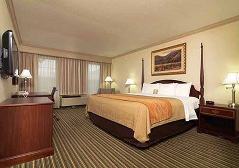 Comfort Inn-Plainwell - Plainwell, MI