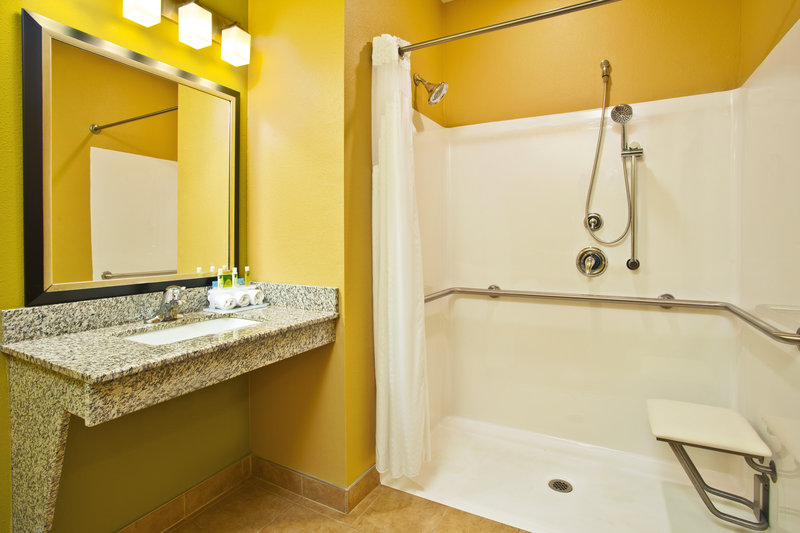 Holiday Inn Express HASTINGS - Hastings, MI