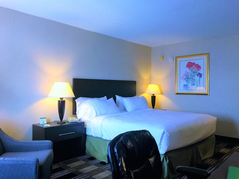 Holiday Inn ONEONTA-COOPERSTOWN AREA - Oneonta, NY