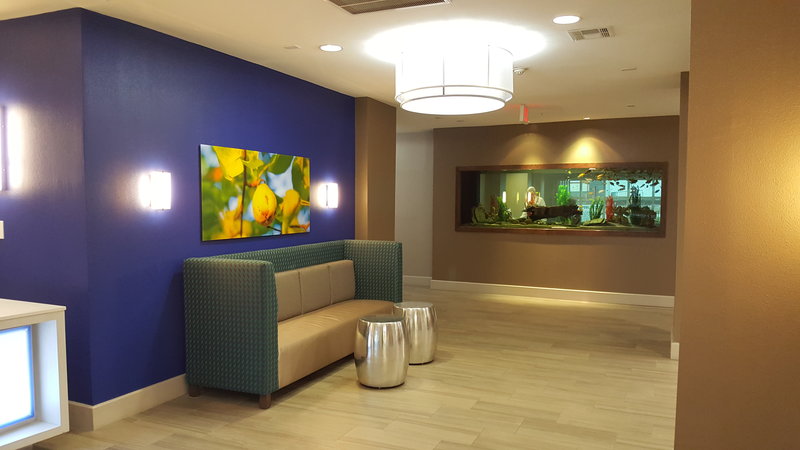 Holiday Inn Express & Suites PEARLAND - Pearland, TX