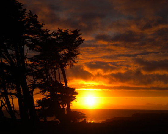 Beachcomber Motel Fort Bragg - Fort Bragg, CA