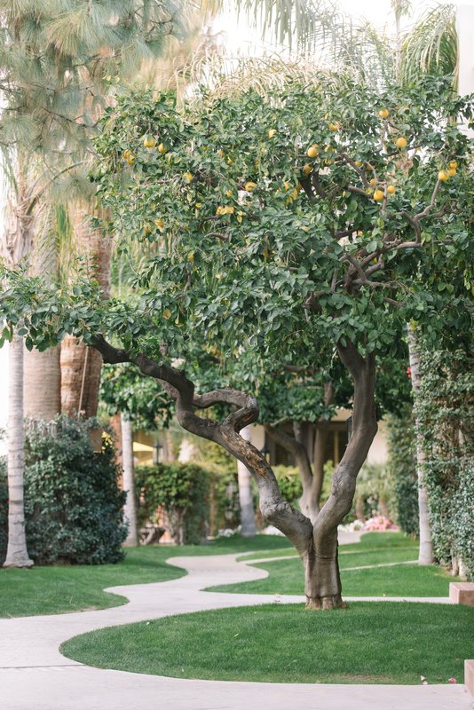Palm Mountain Resort & Spa - Palm Springs, CA