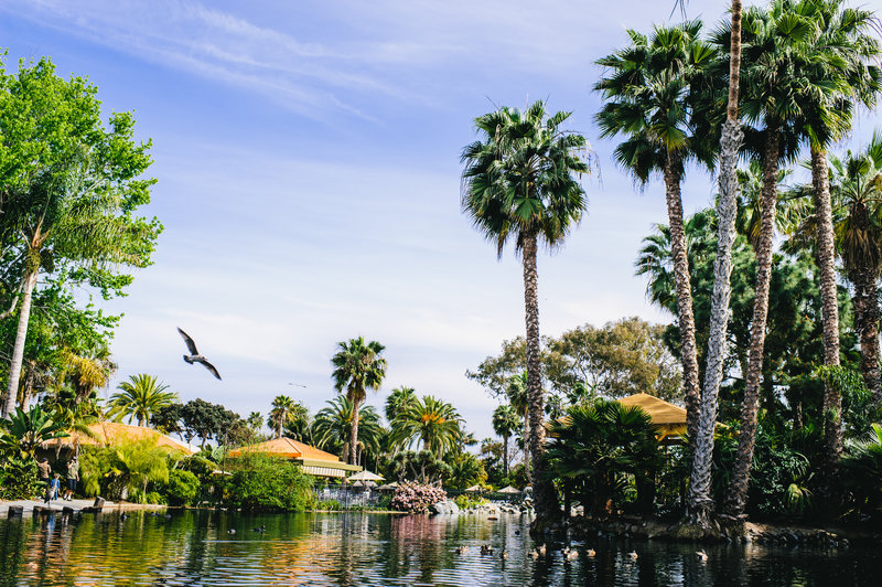Paradise Point Resort & Spa - San Diego, CA