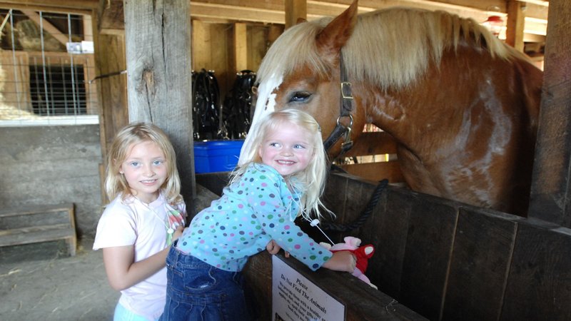 Four Points By Sheraton St. Catharines Niagara Suites