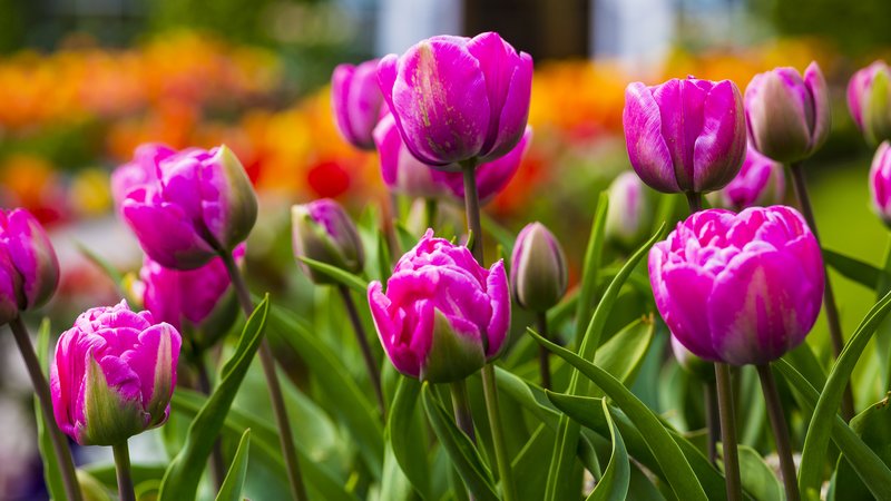 Keadeen Hotel | CURRAGH ROAD, Avoca | +353 45 431 666