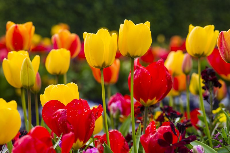 Keadeen Hotel | CURRAGH ROAD, Avoca | +353 45 431 666