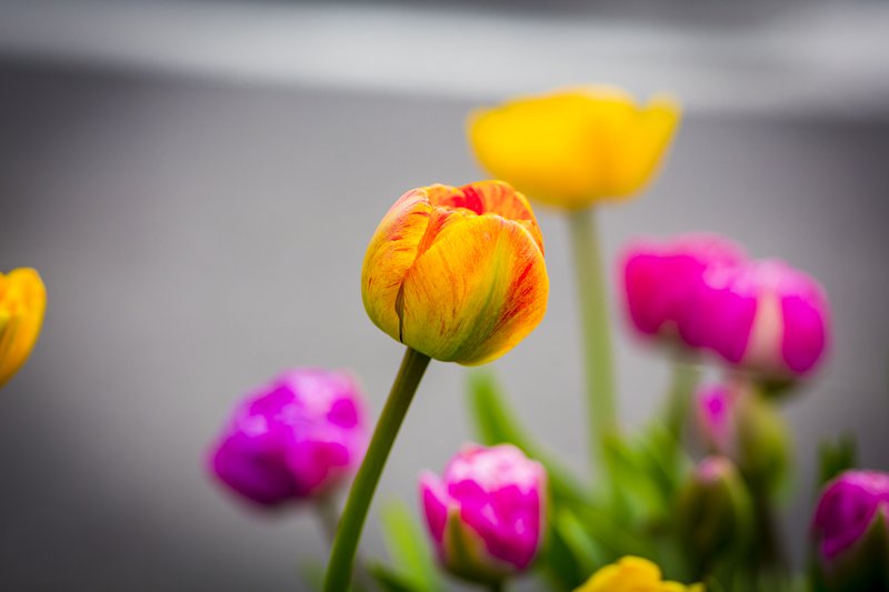 Keadeen Hotel | CURRAGH ROAD, Avoca | +353 45 431 666