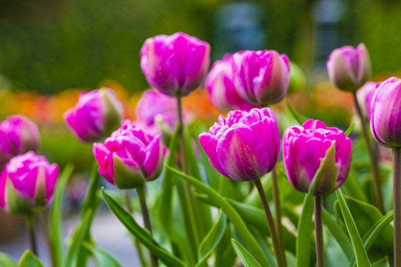 Keadeen Hotel | CURRAGH ROAD, Avoca | +353 45 431 666