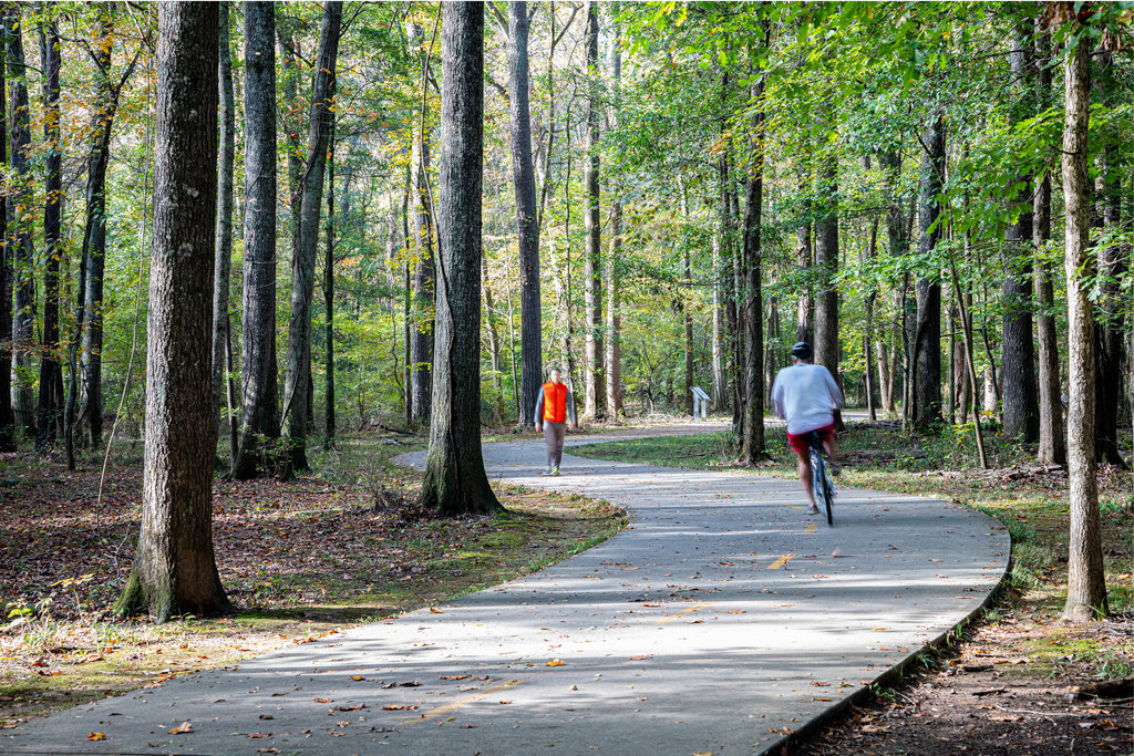 EVEN Hotel Alpharetta - Avalon Area, an IHG hotel - Tap to explore photos