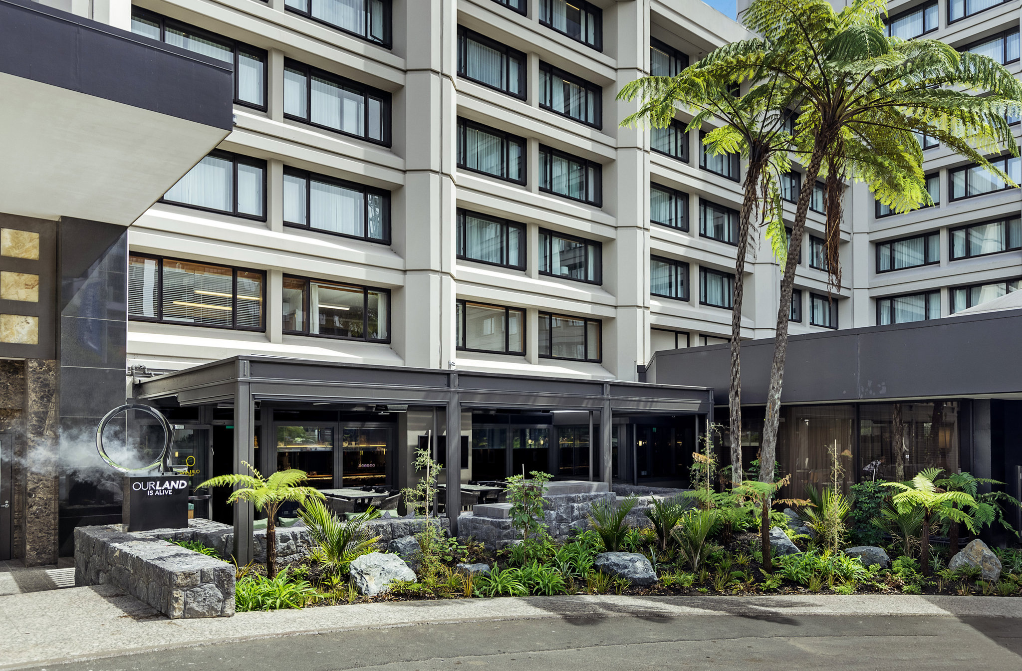 Cordis, Auckland