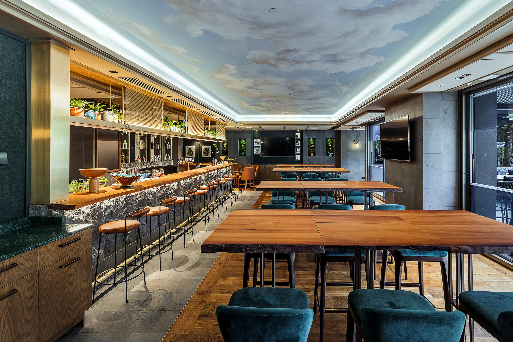Cordis, Auckland