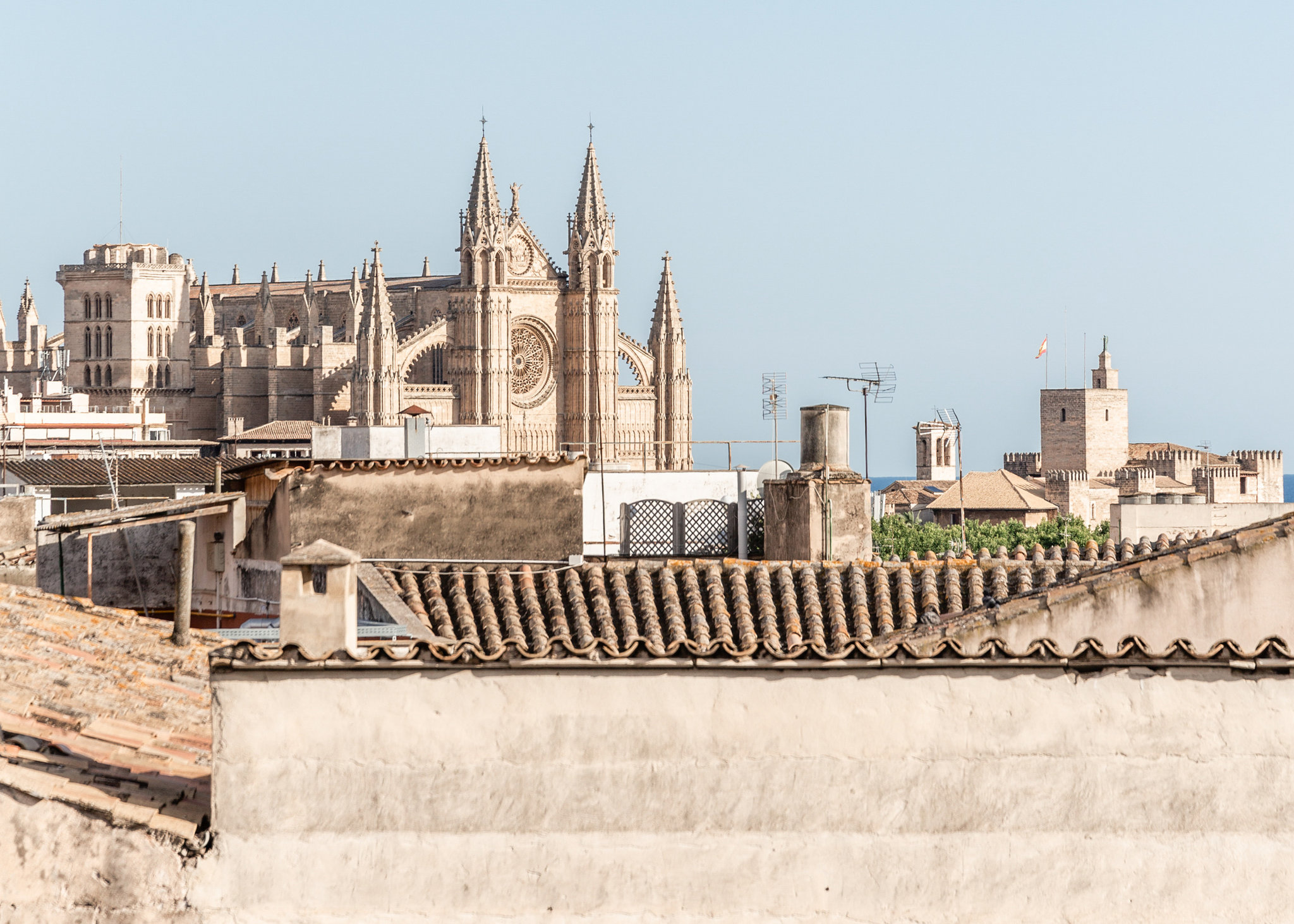 Concepción by Nobis