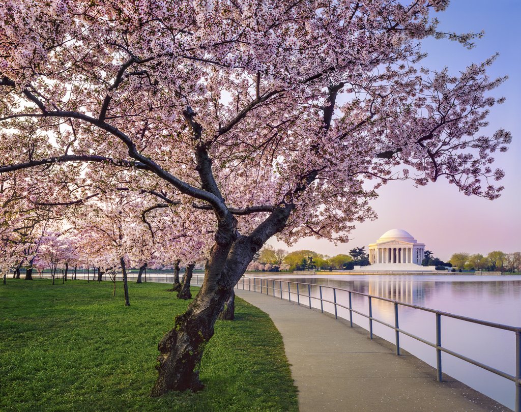 Kimpton Hotel Monaco Washington DC, an IHG hotel - Tap to explore photos