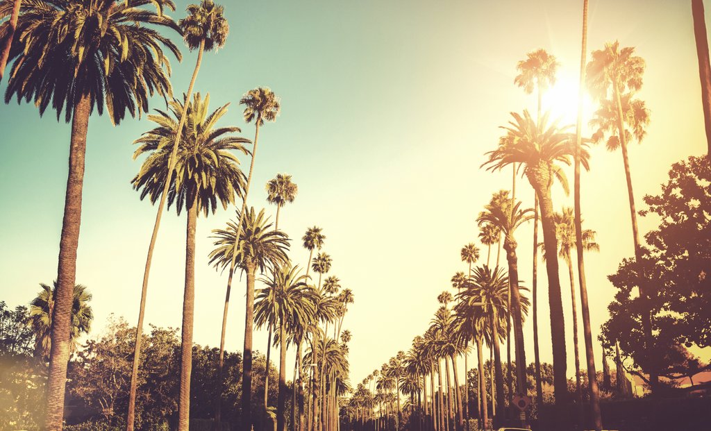 Kimpton HOTEL WILSHIRE by IHG