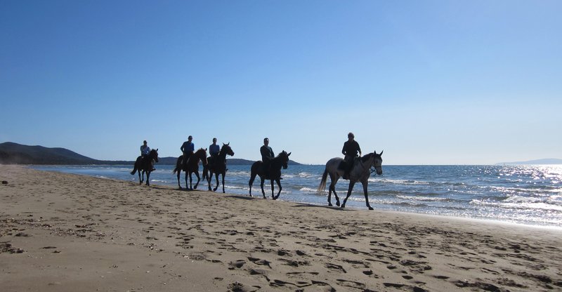 Pan Pacific Vancouver Pacific Club