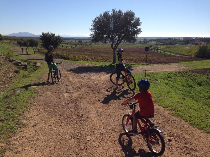 Pan Pacific Vancouver Pacific Club