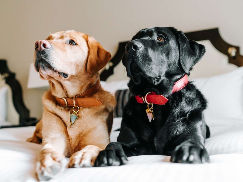 Fairmont Vancouver Fairmont Vancouver