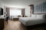 Guest room, 1 King