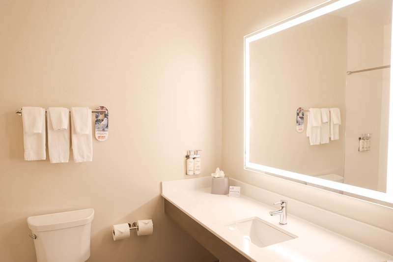 HOLIDAY INN EXP STES DOUGLAS