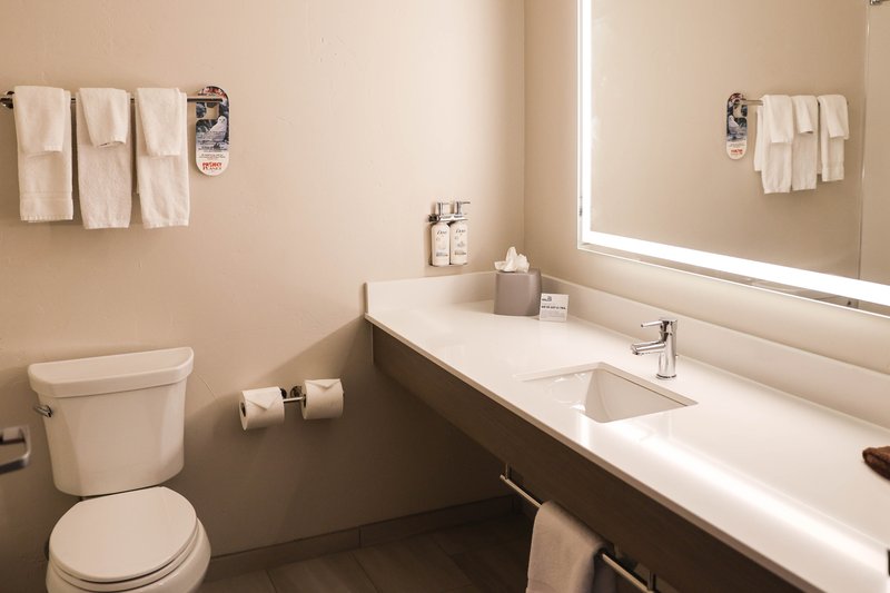 HOLIDAY INN EXP STES DOUGLAS