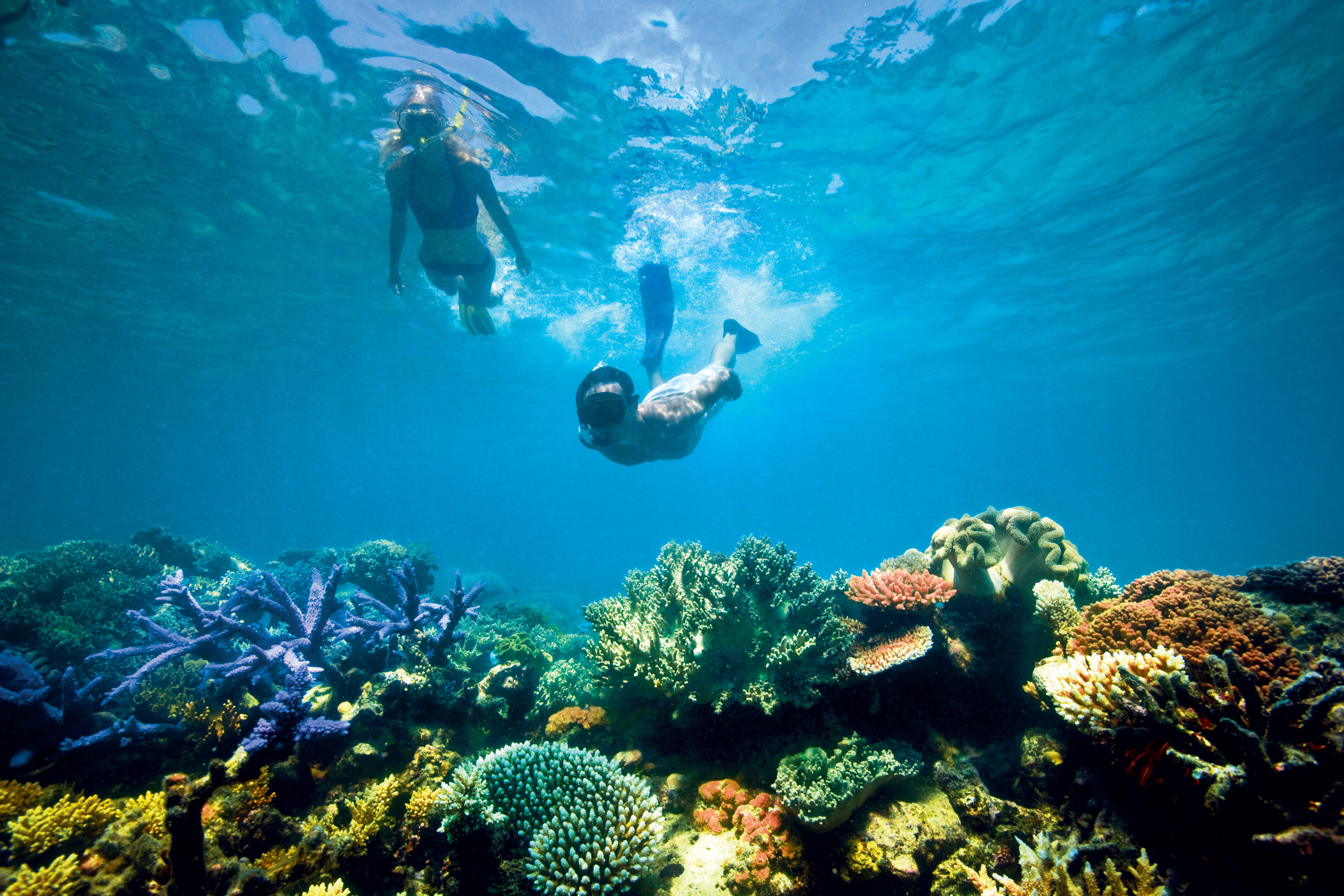 Lizard Island Resort