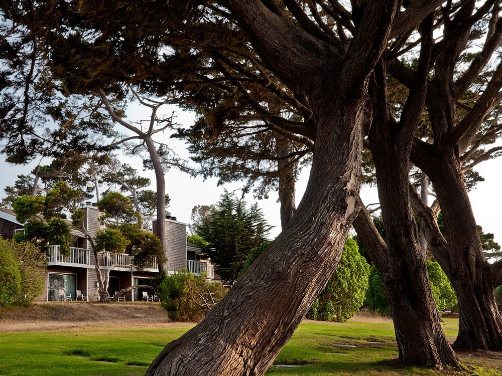 Lighthouse Lodge & Cottages