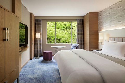 Deluxe 1 king room