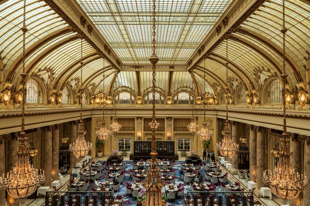 Guest photo