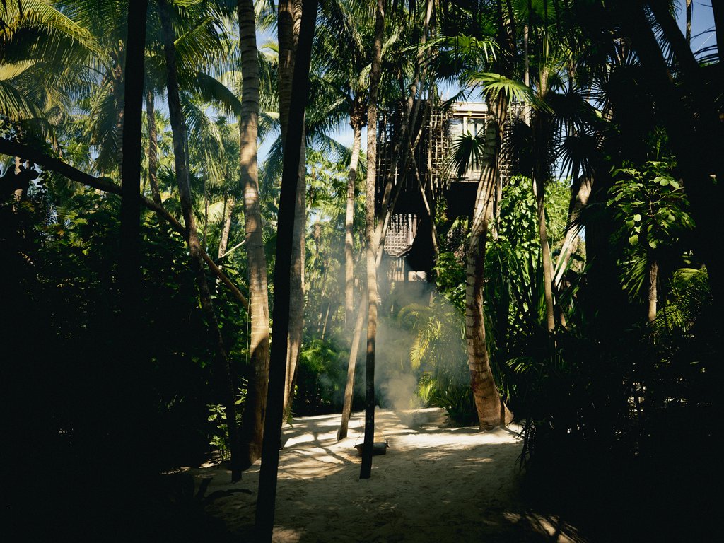 Guest photo