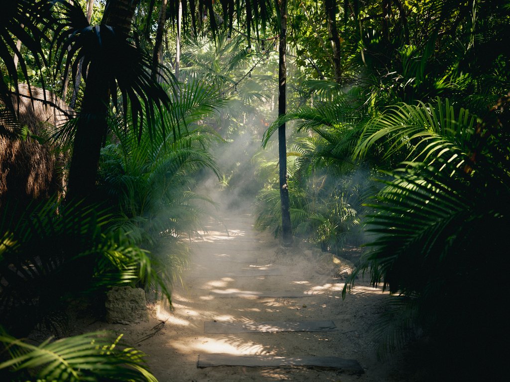 Guest photo