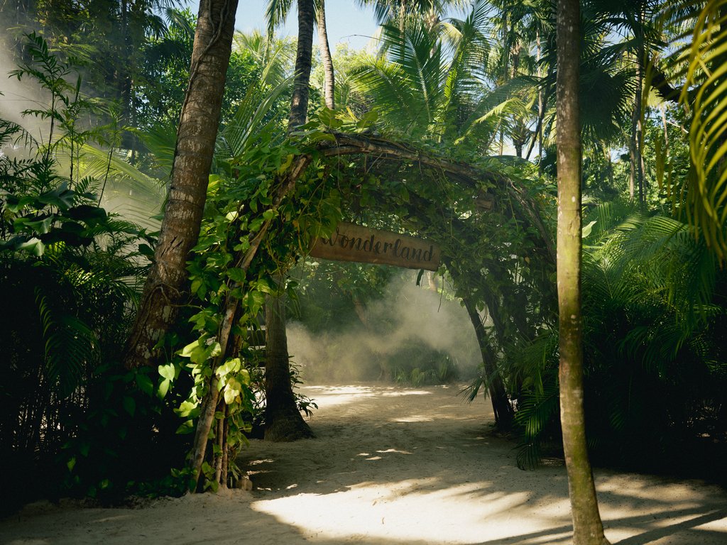 Guest photo