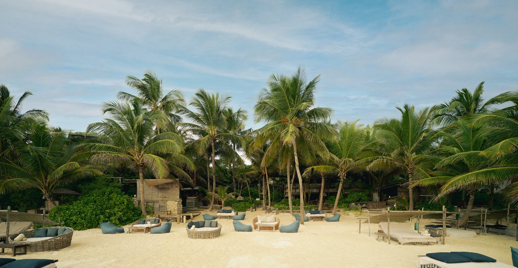 Guest photo